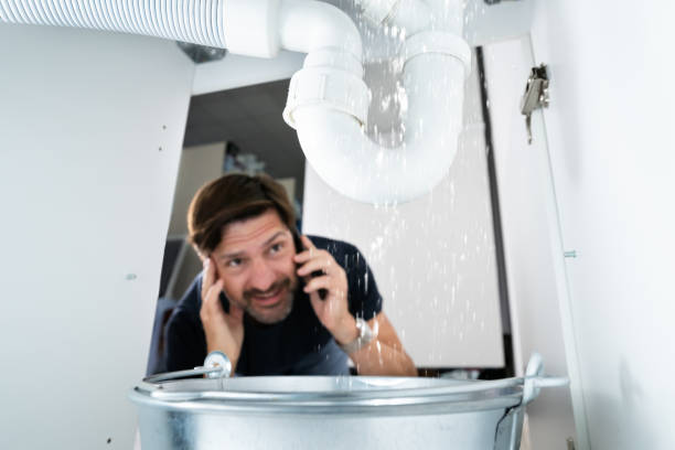 Best Plumbing Services Near Me  in Aledo, IL