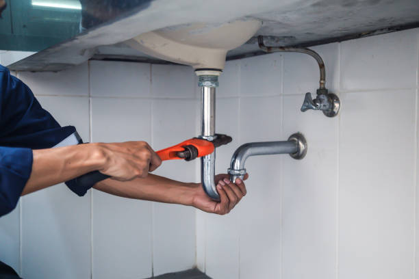 Best Local Plumber Services  in Aledo, IL