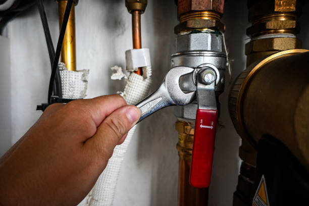 Best Commercial Plumbing Services  in Aledo, IL